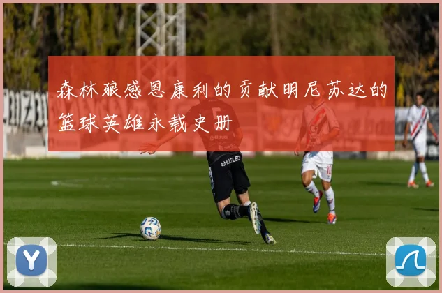 森林狼感恩康利的贡献明尼苏达的篮球英雄永载史册