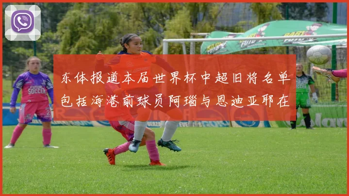 东体报道本届世界杯中超旧将名单包括海港前球员阿瑙与恩迪亚耶在内的10位球员